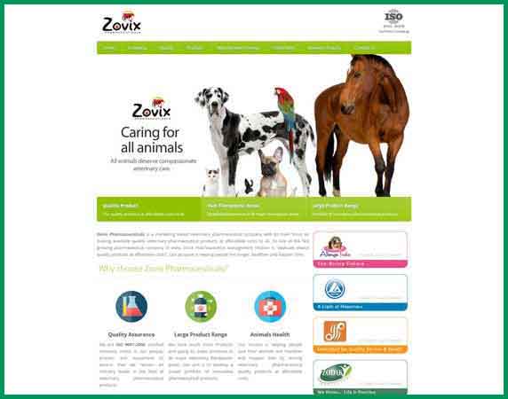 Zovix Pharmaceuticals